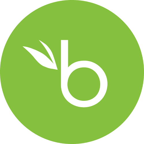 BambooHR Logo.png