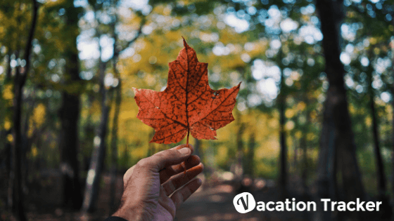 How Many Vacation Days Do You Get In Canada?