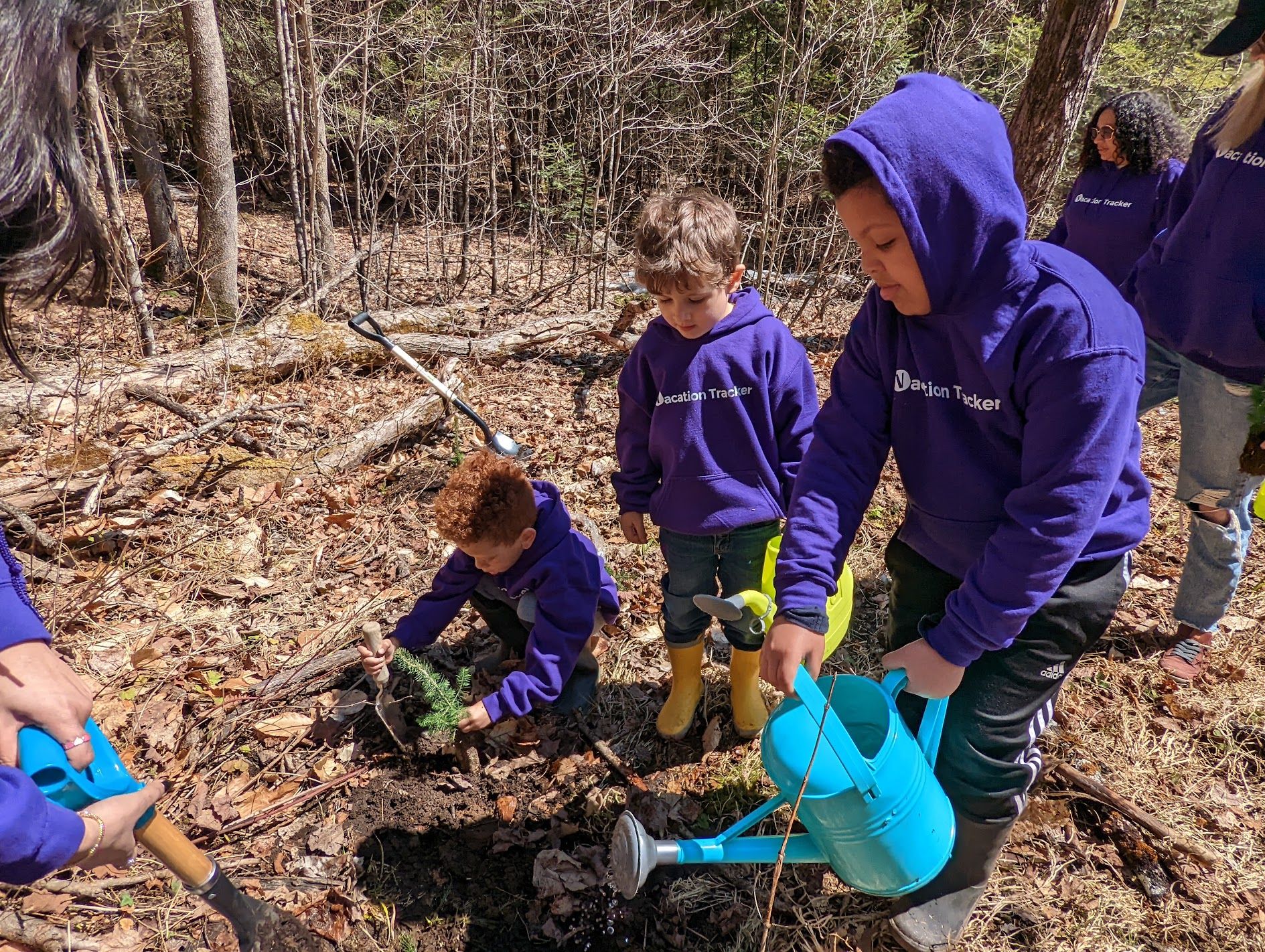 Planting trees in Canada