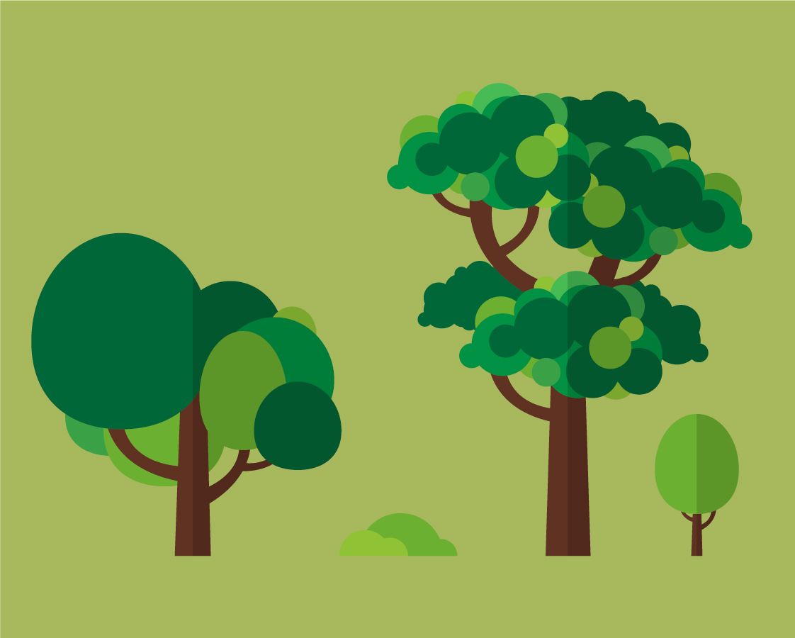 One mature tree can absorb up to 22kg (48lbs) of carbon dioxide per year.
