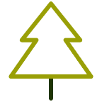 One mature tree can absorb up to 22kg (48lbs) of carbon dioxide per year.
